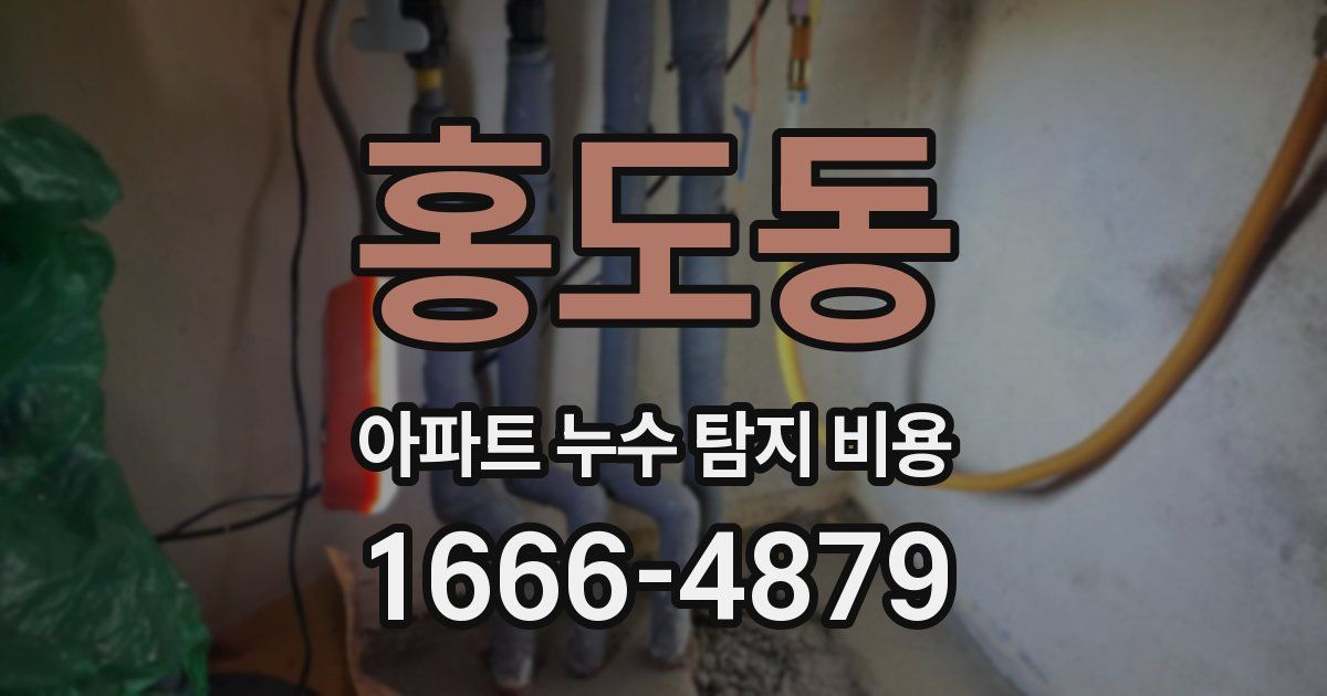 홍도동 아파트 누수 탐지 비용