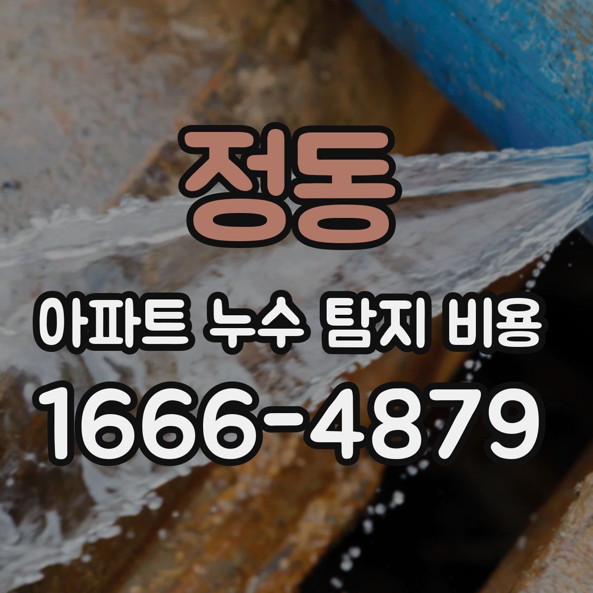 정동 아파트 누수 탐지 비용