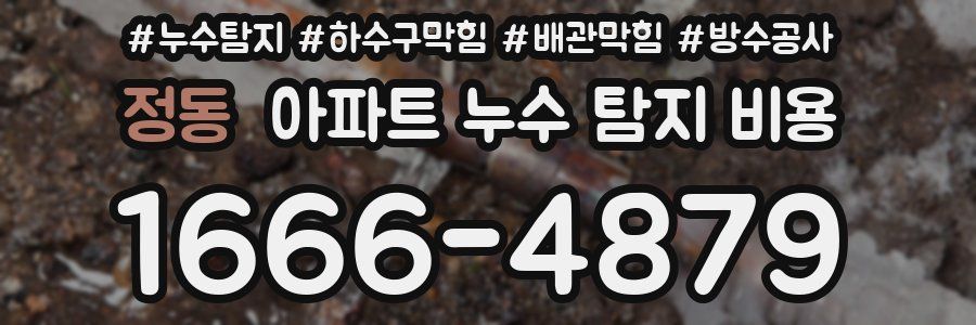 정동 아파트 누수 탐지 비용