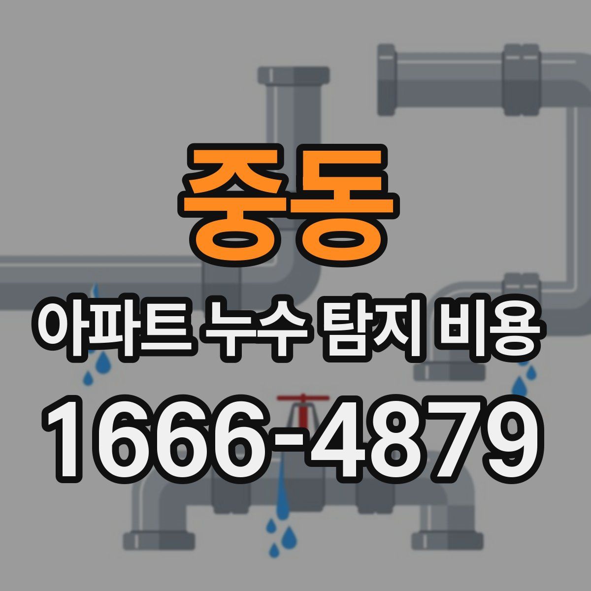 중동 아파트 누수 탐지 비용