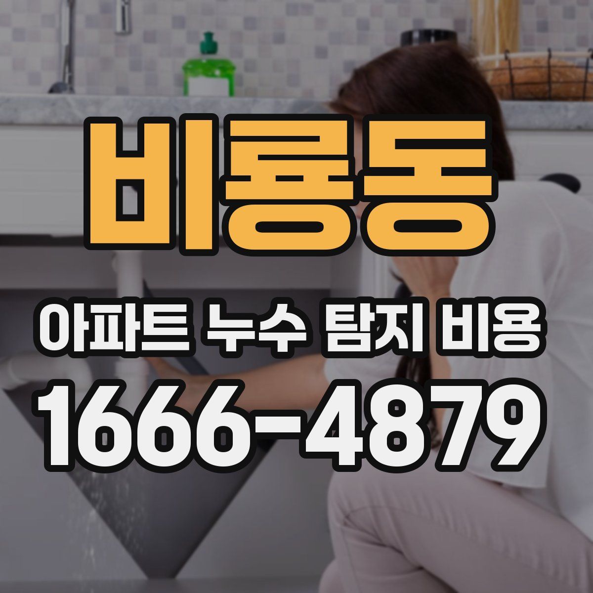 비룡동 아파트 누수 탐지 비용