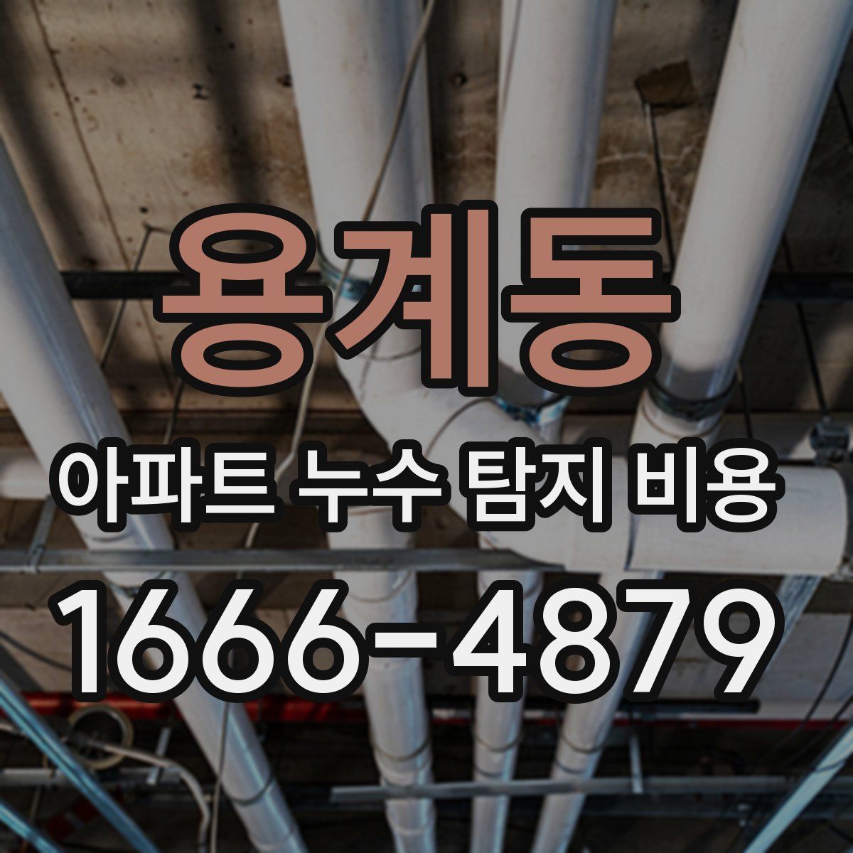 용계동 아파트 누수 탐지 비용