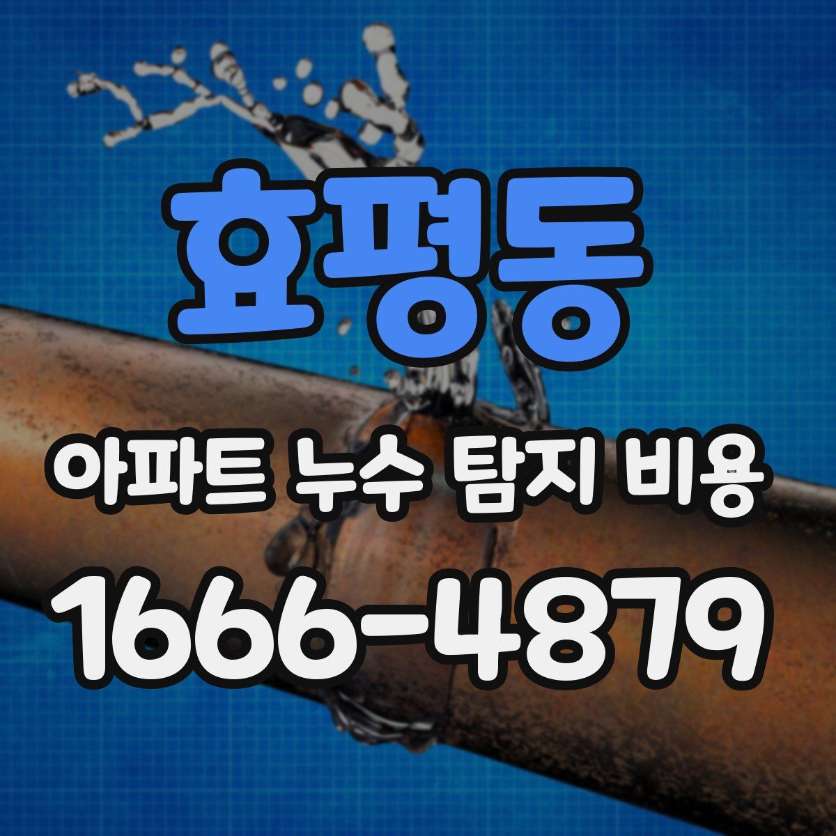 효평동 아파트 누수 탐지 비용