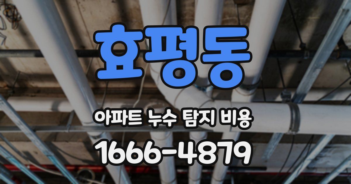 효평동 아파트 누수 탐지 비용