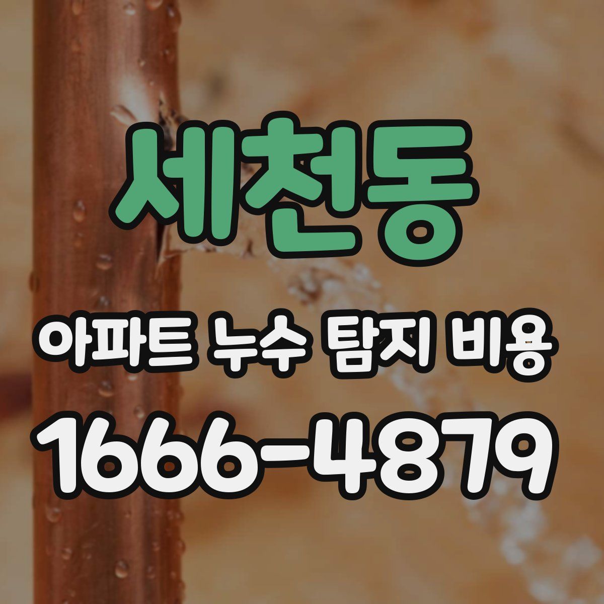 세천동 아파트 누수 탐지 비용