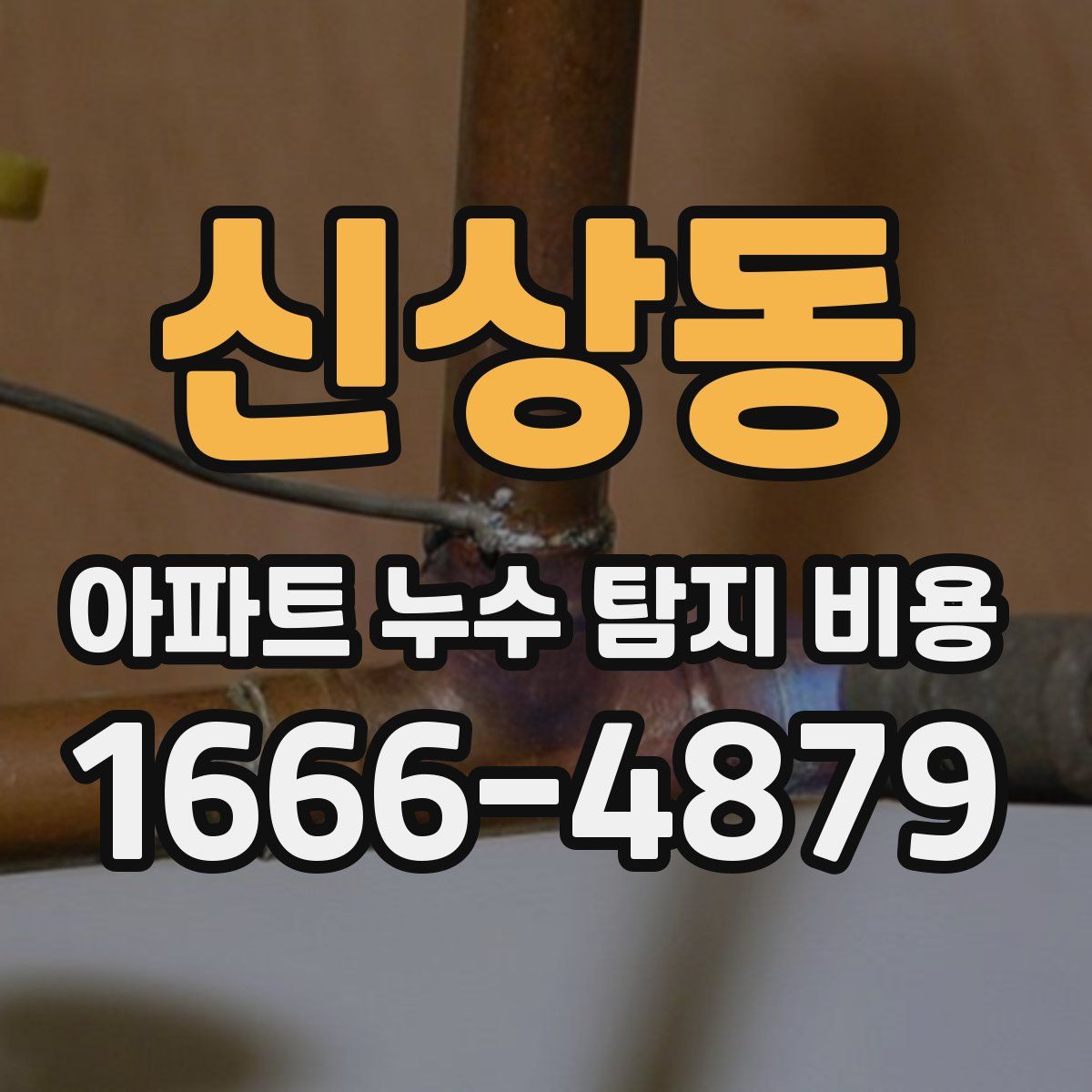 신상동 아파트 누수 탐지 비용