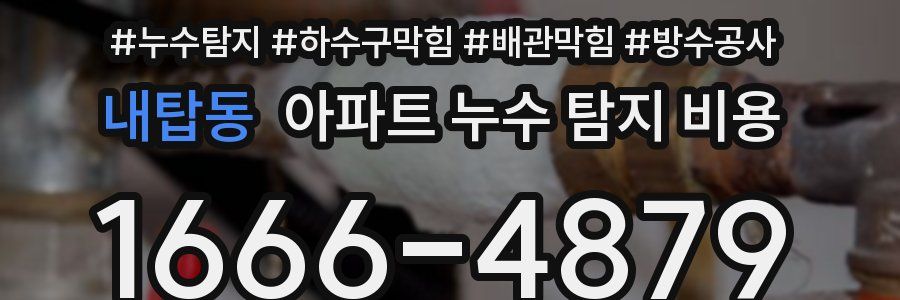 내탑동 아파트 누수 탐지 비용