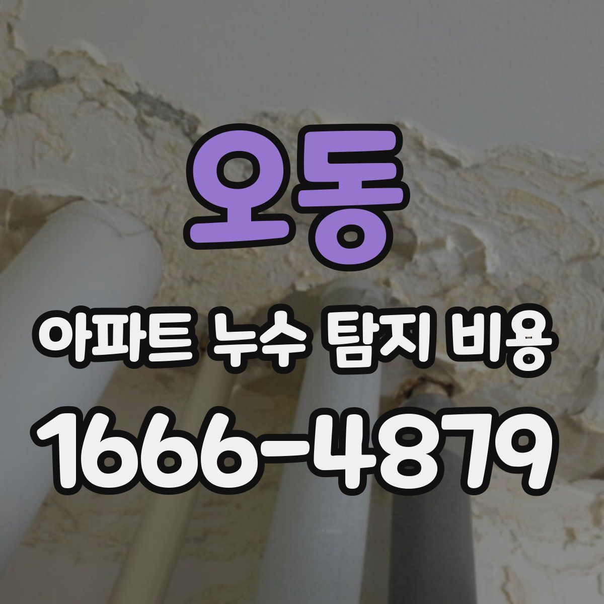 오동 아파트 누수 탐지 비용