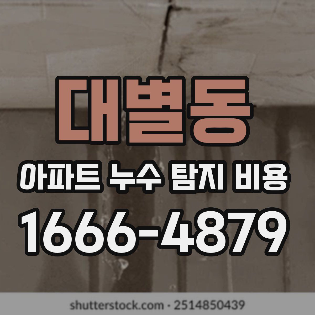 대별동 아파트 누수 탐지 비용