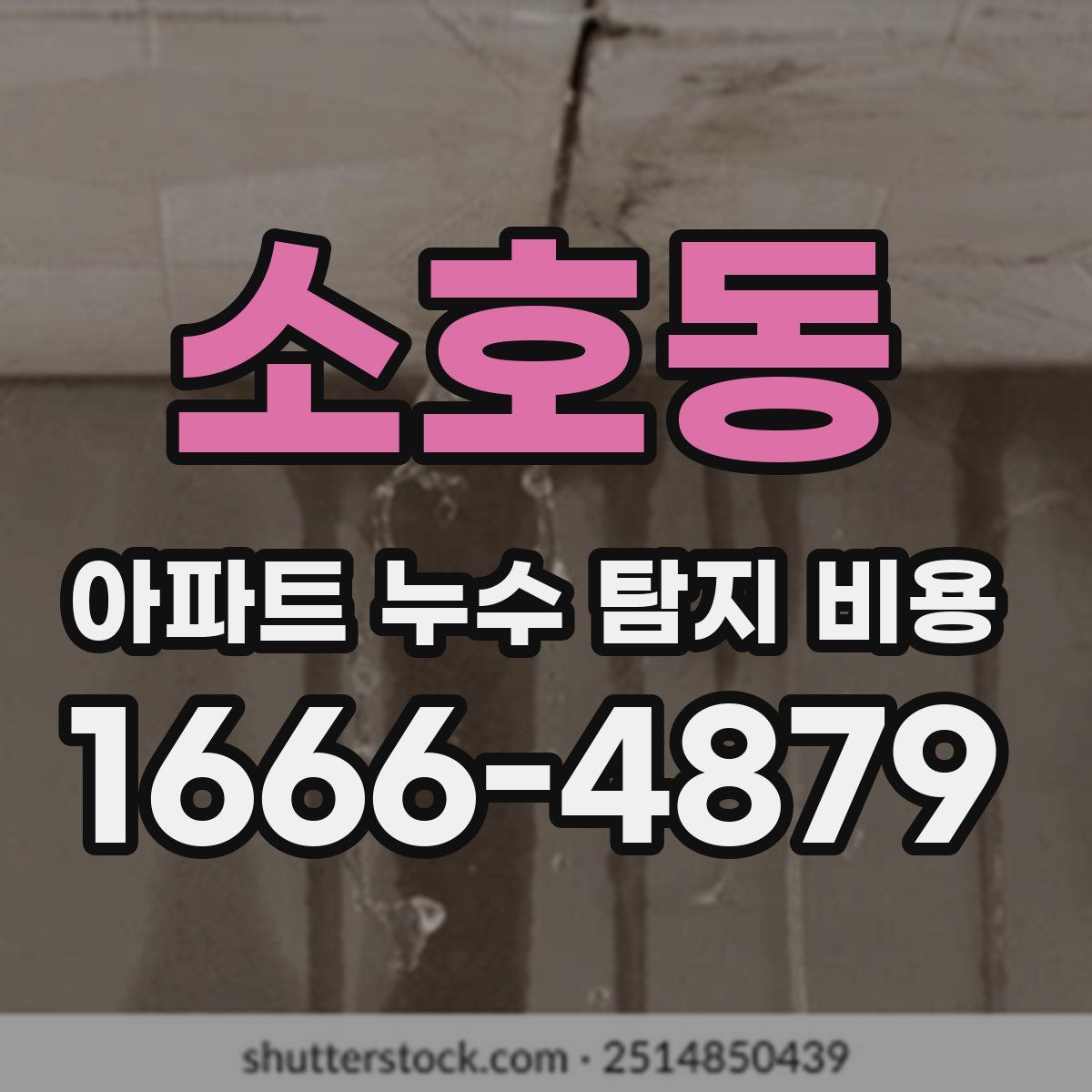 소호동 아파트 누수 탐지 비용