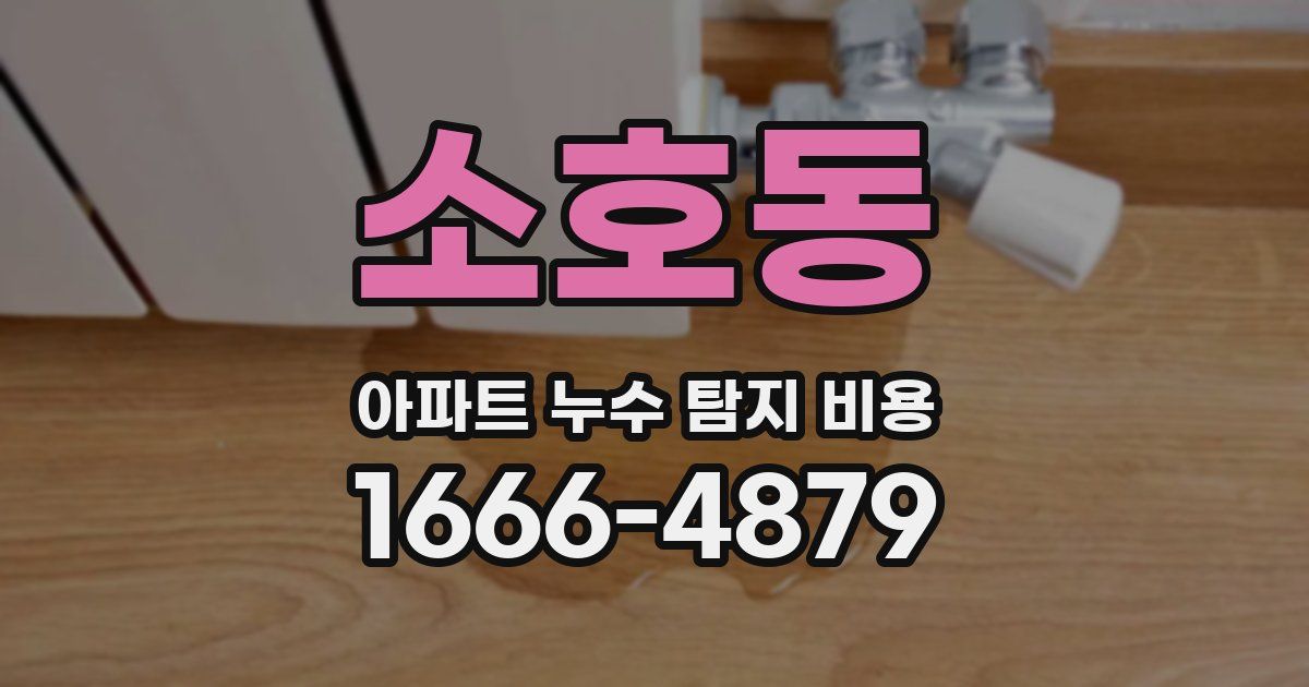 소호동 아파트 누수 탐지 비용