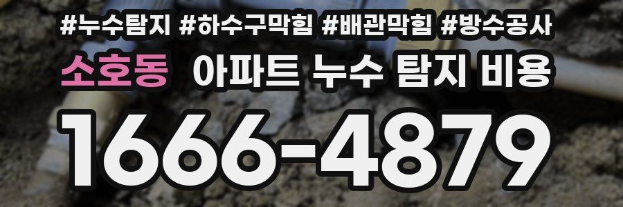 소호동 아파트 누수 탐지 비용