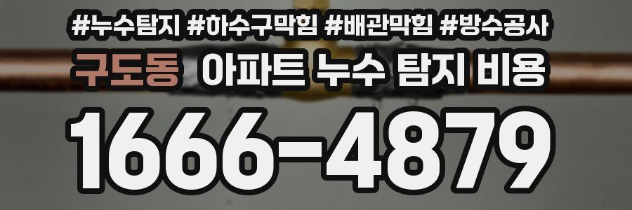 구도동 아파트 누수 탐지 비용