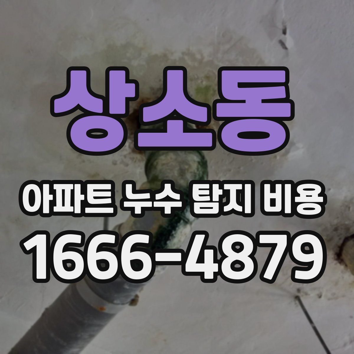 상소동 아파트 누수 탐지 비용