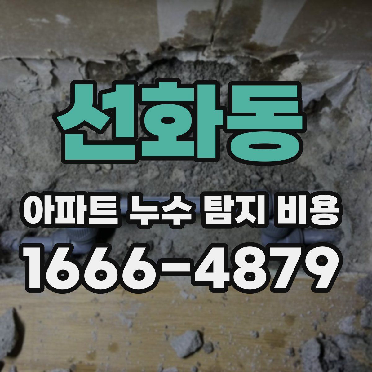 선화동 아파트 누수 탐지 비용