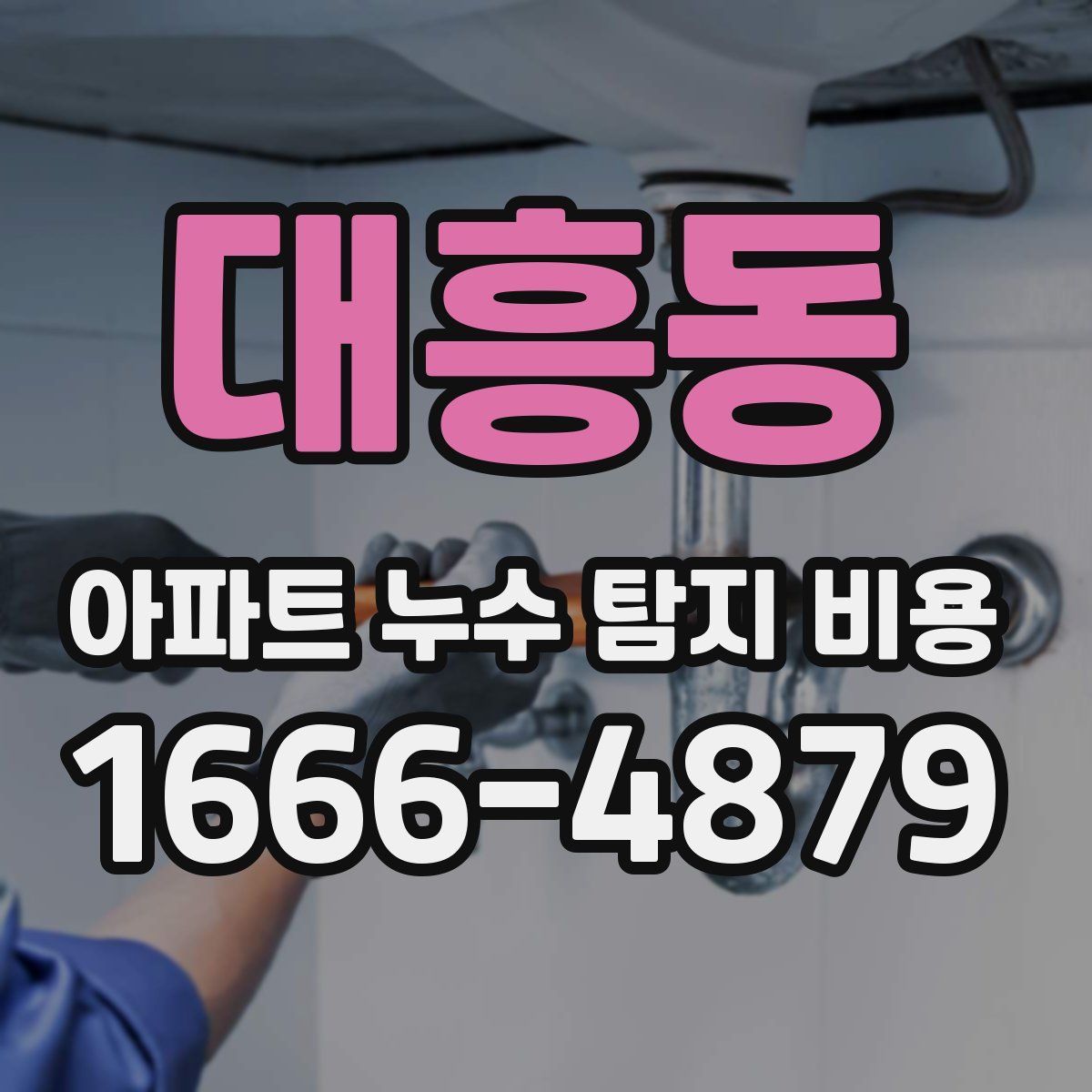 대흥동 아파트 누수 탐지 비용