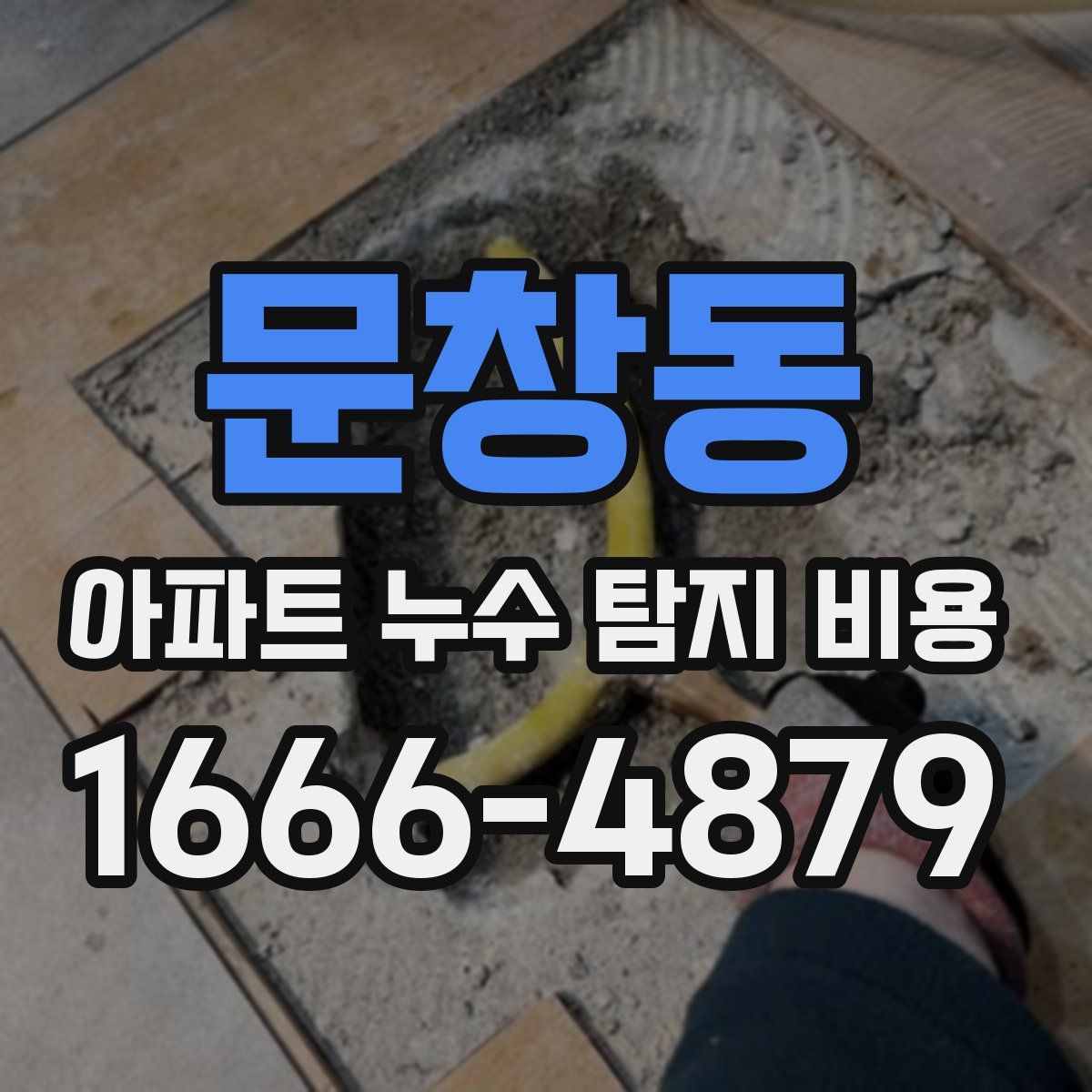 문창동 아파트 누수 탐지 비용