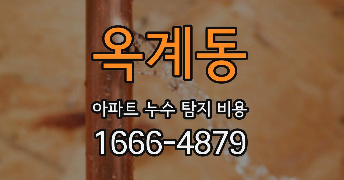 옥계동 아파트 누수 탐지 비용