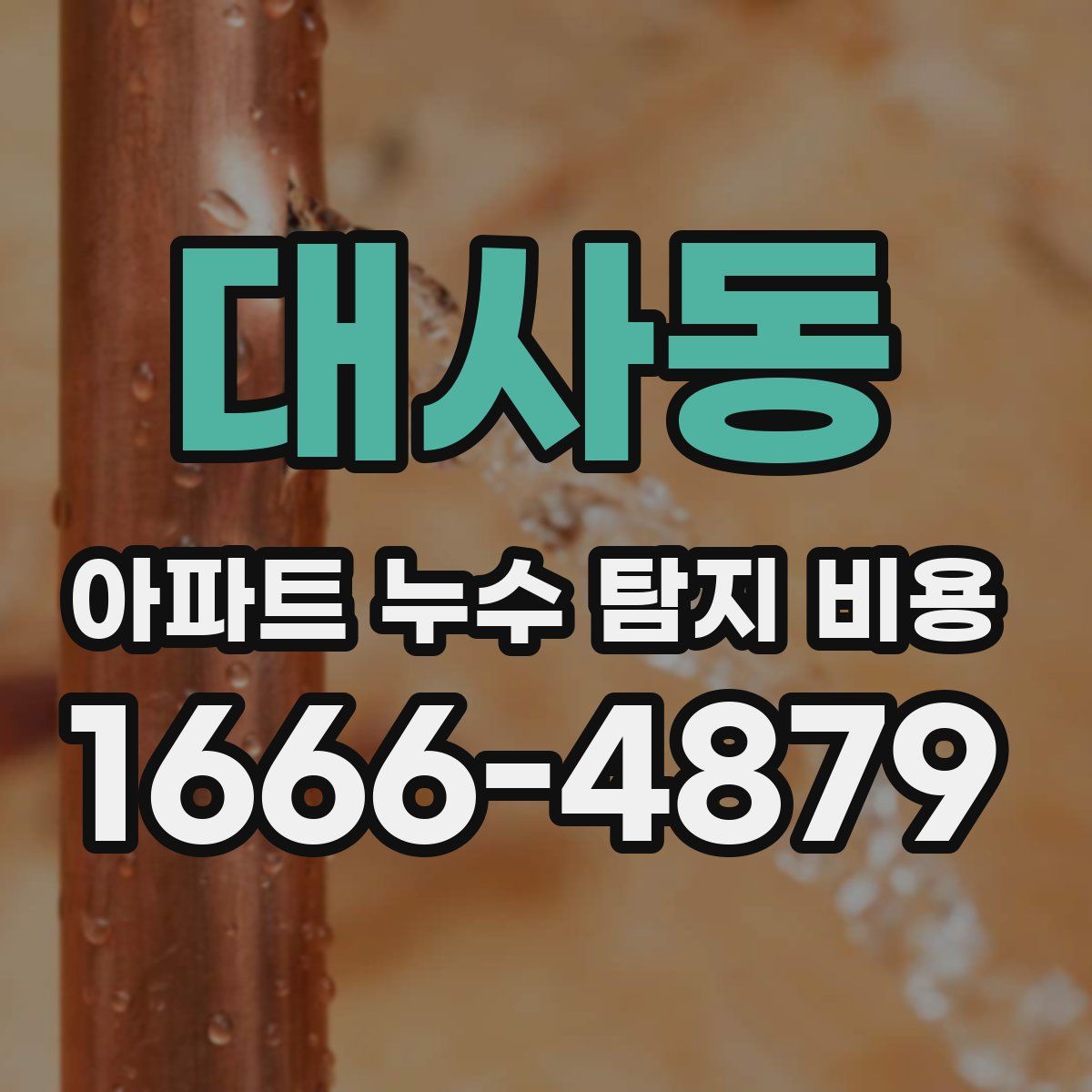 대사동 아파트 누수 탐지 비용