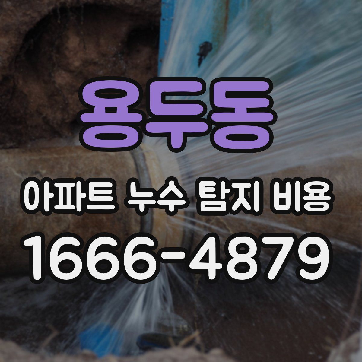용두동 아파트 누수 탐지 비용