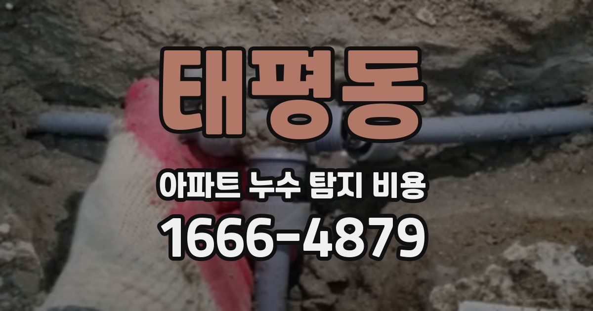 태평동 아파트 누수 탐지 비용