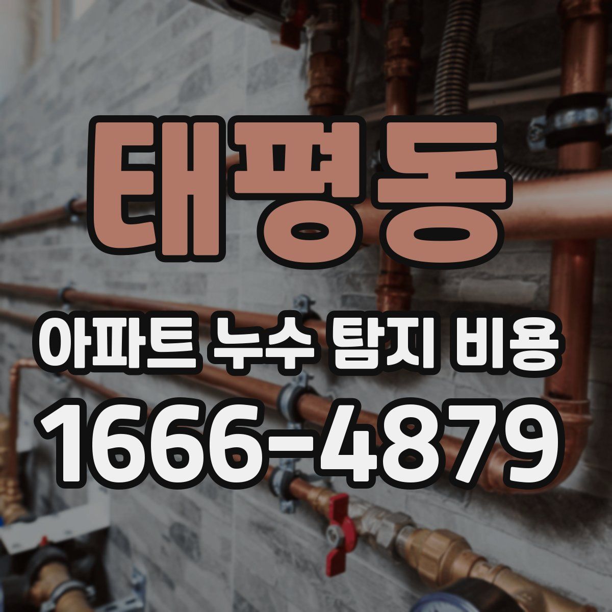 태평동 아파트 누수 탐지 비용