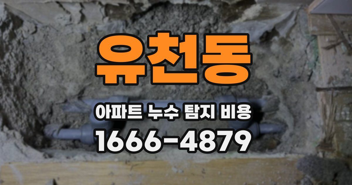 유천동 아파트 누수 탐지 비용