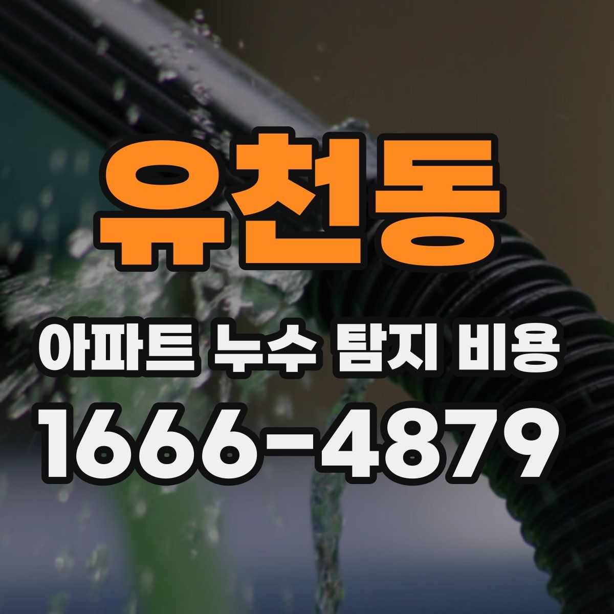 유천동 아파트 누수 탐지 비용