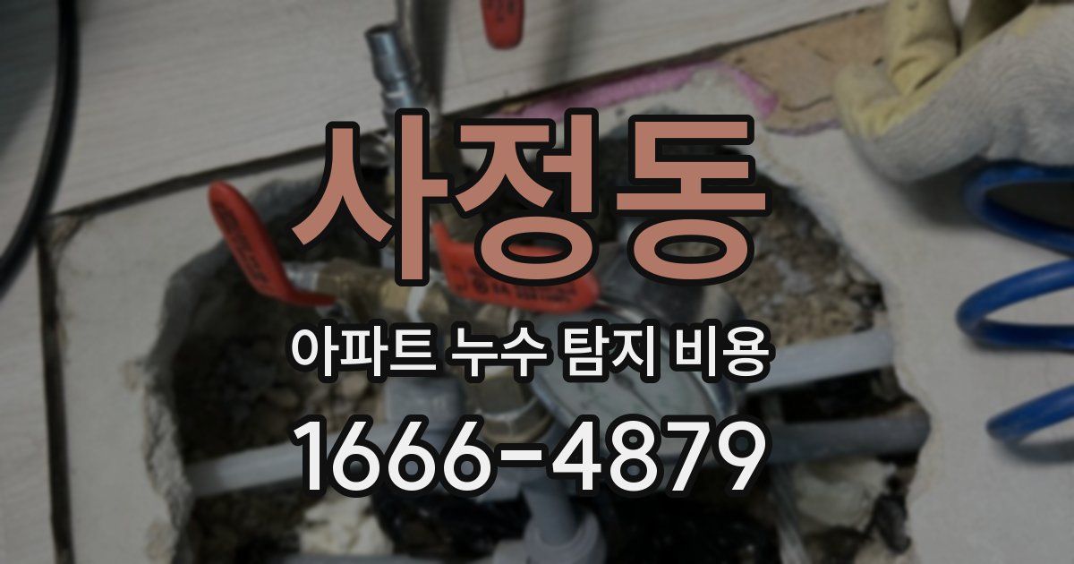 사정동 아파트 누수 탐지 비용