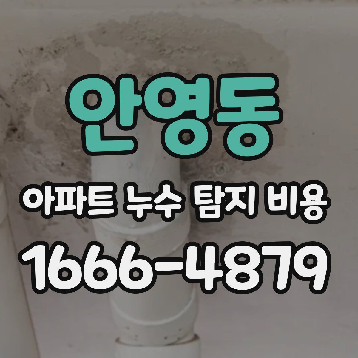 안영동 아파트 누수 탐지 비용