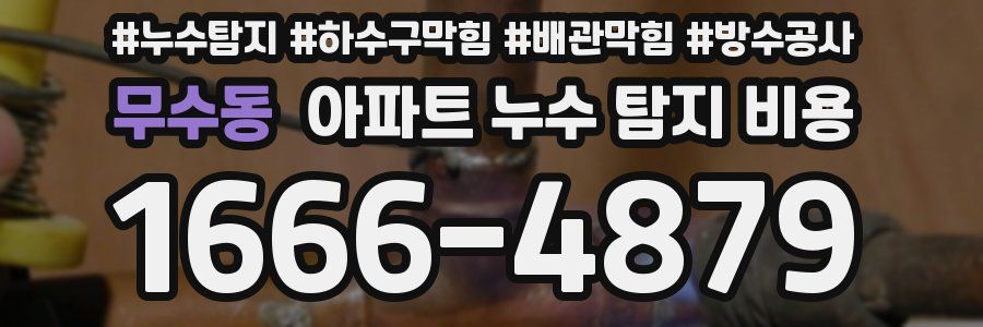 무수동 아파트 누수 탐지 비용