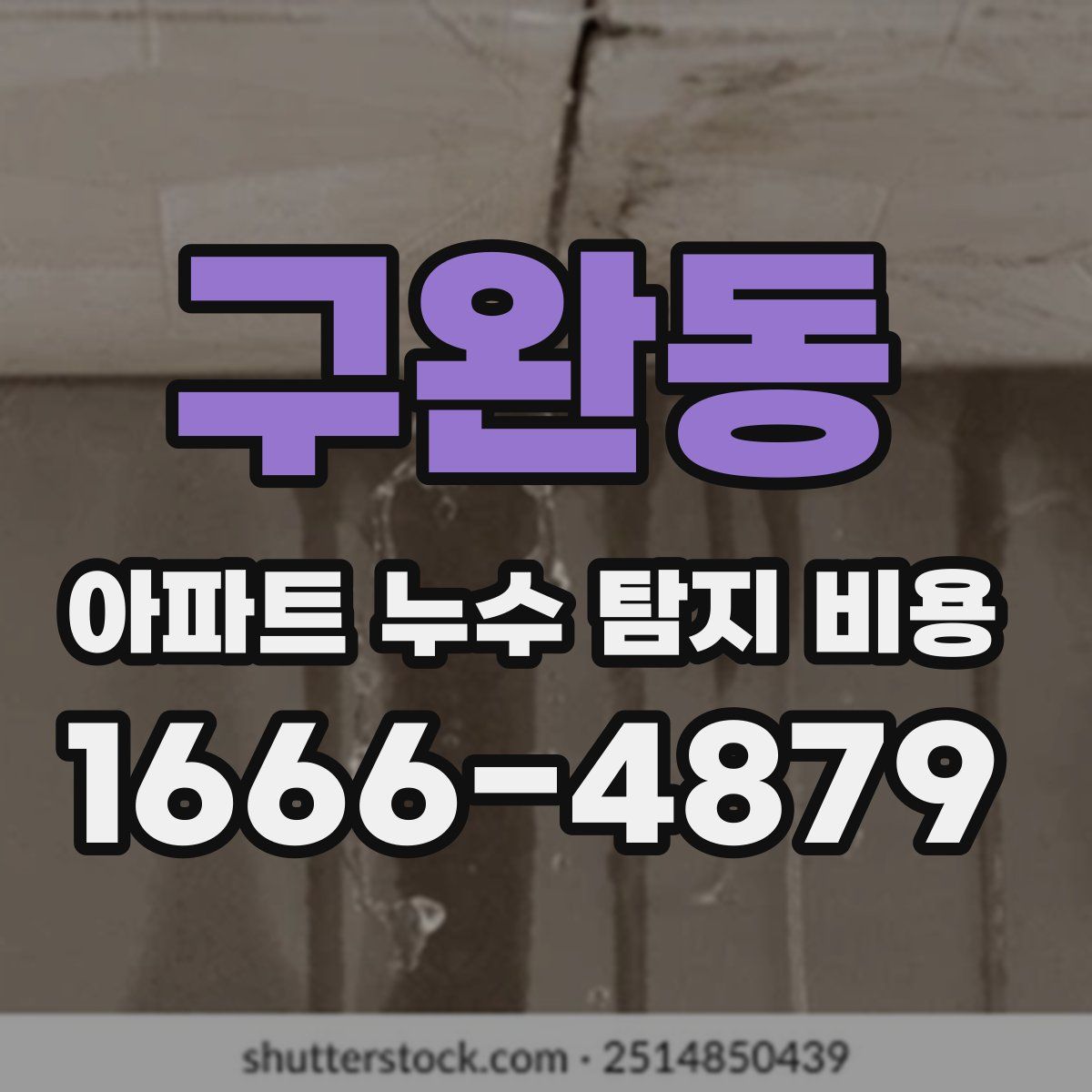 구완동 아파트 누수 탐지 비용