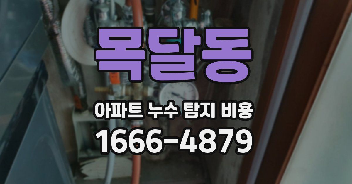 목달동 아파트 누수 탐지 비용
