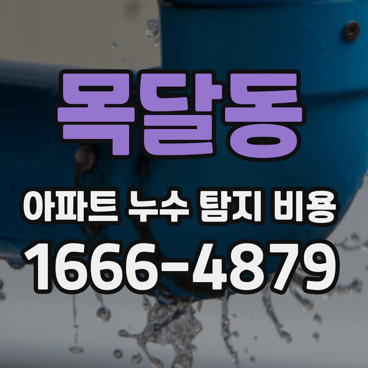 목달동 아파트 누수 탐지 비용