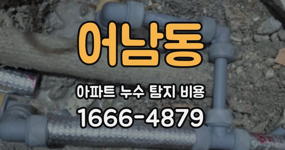 어남동 아파트 누수 탐지 비용