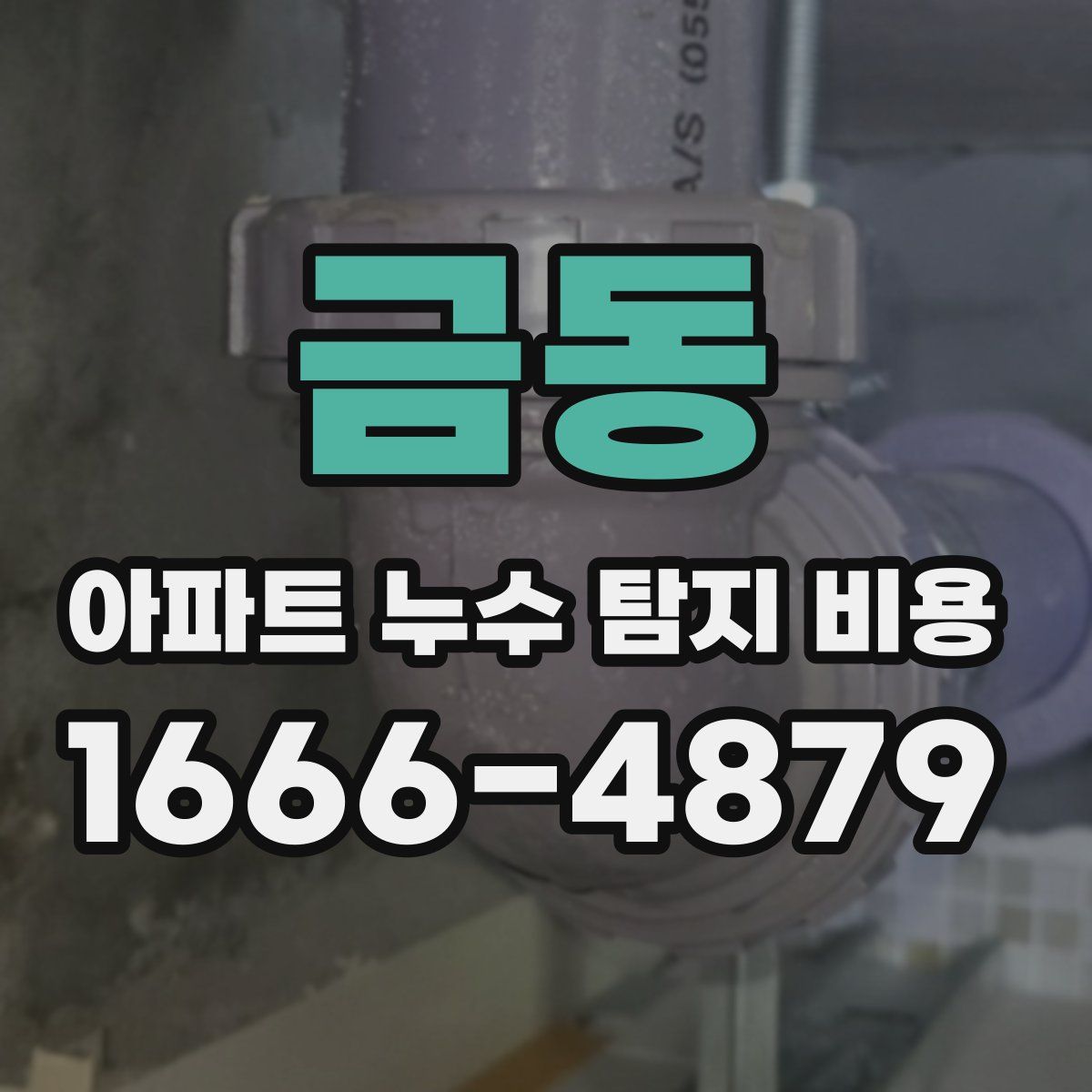 금동 아파트 누수 탐지 비용