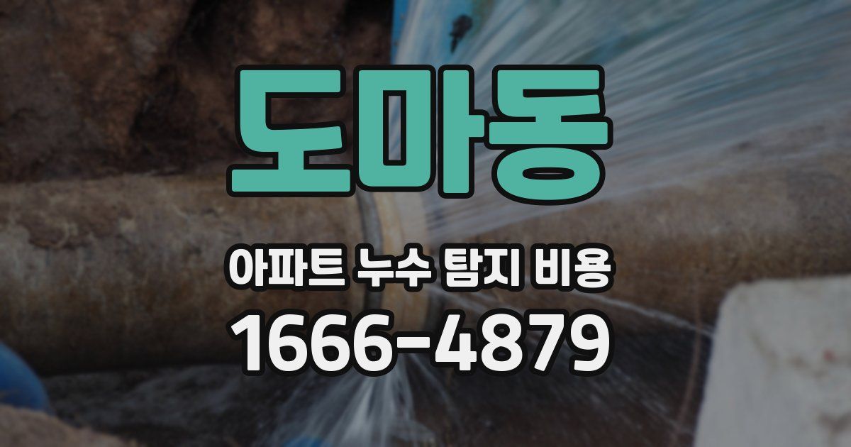 도마동 아파트 누수 탐지 비용