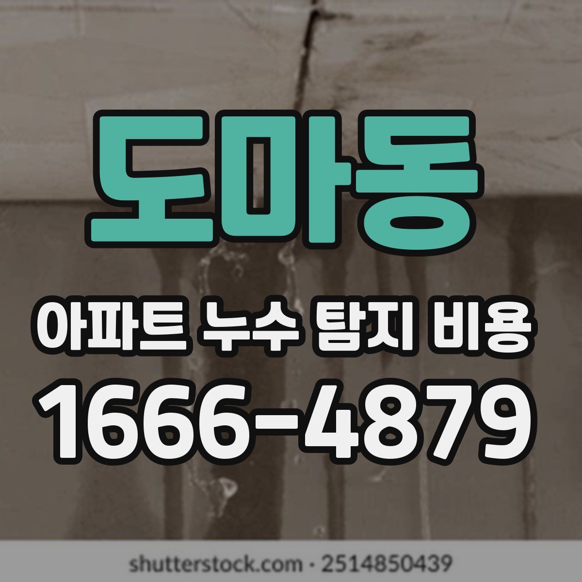 도마동 아파트 누수 탐지 비용