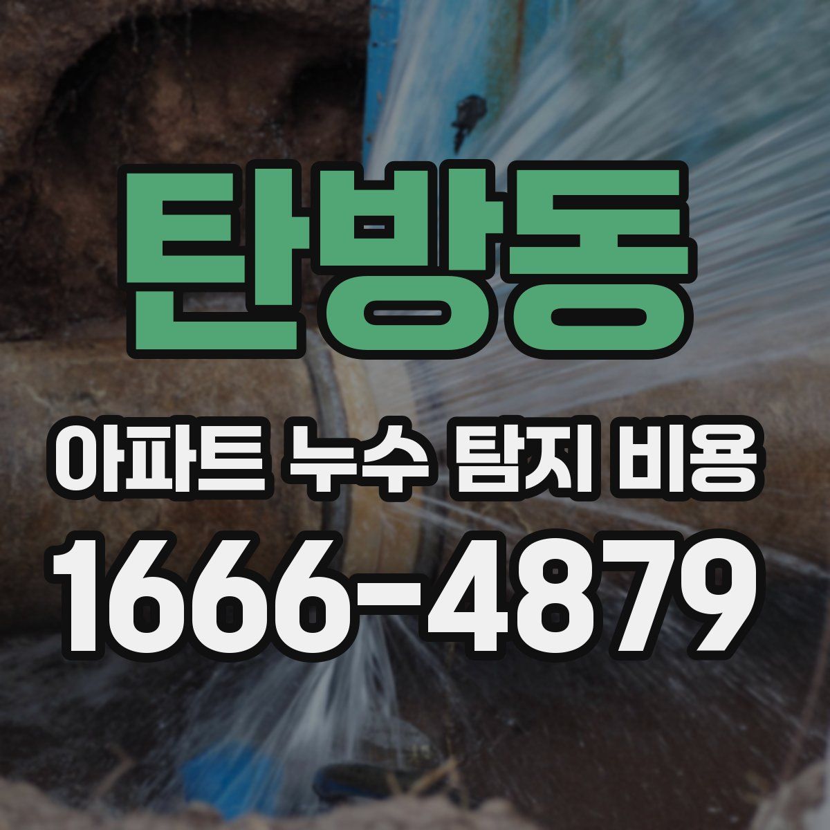 탄방동 아파트 누수 탐지 비용