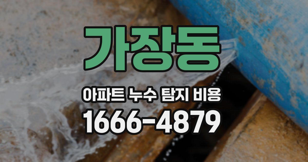 가장동 아파트 누수 탐지 비용
