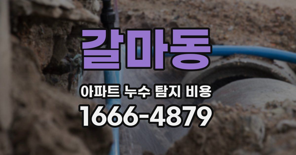 갈마동 아파트 누수 탐지 비용