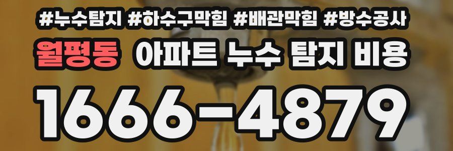 월평동 아파트 누수 탐지 비용