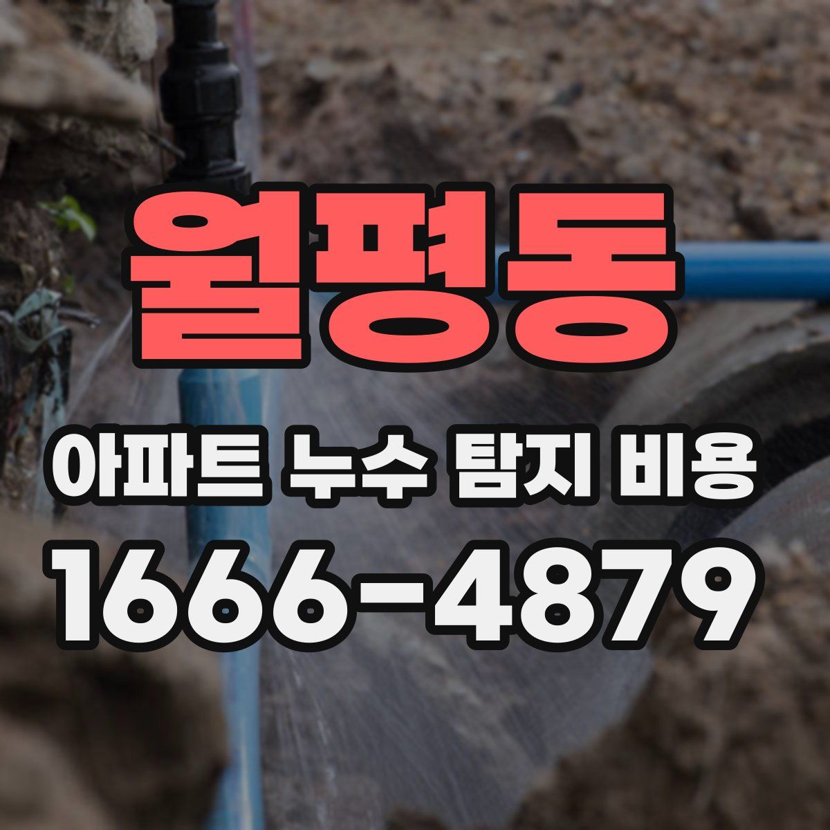 월평동 아파트 누수 탐지 비용