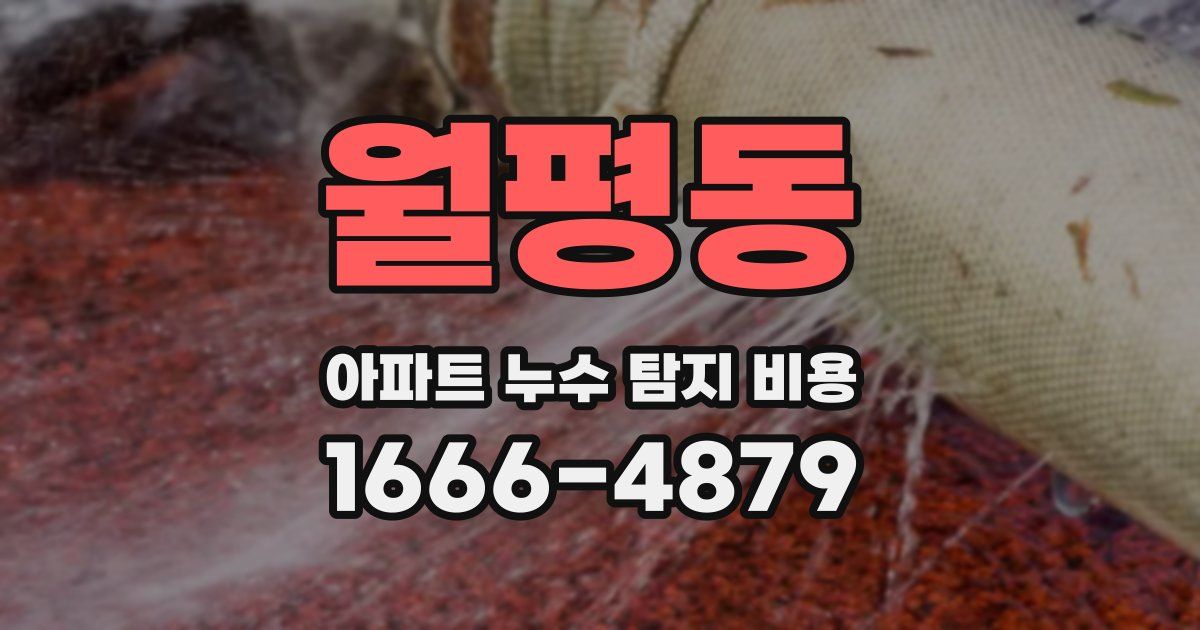 월평동 아파트 누수 탐지 비용