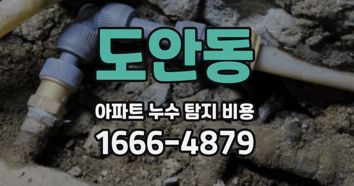도안동 아파트 누수 탐지 비용