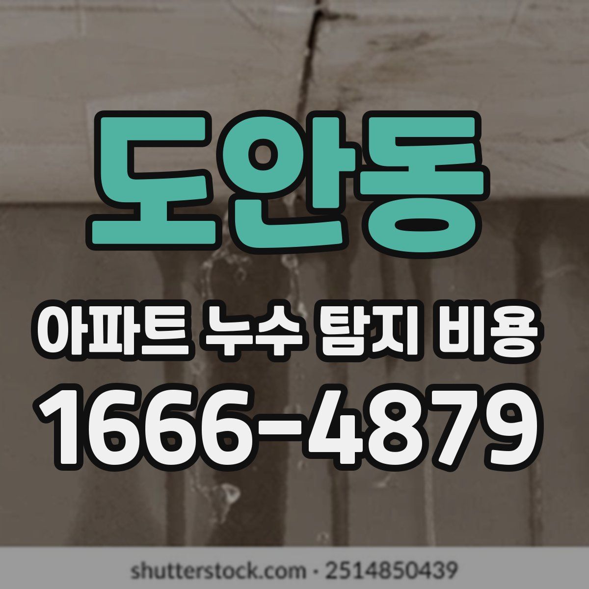 도안동 아파트 누수 탐지 비용