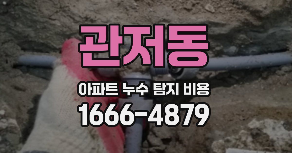 관저동 아파트 누수 탐지 비용