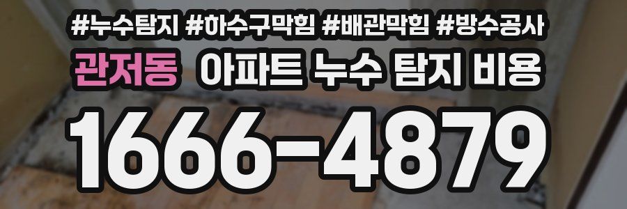 관저동 아파트 누수 탐지 비용