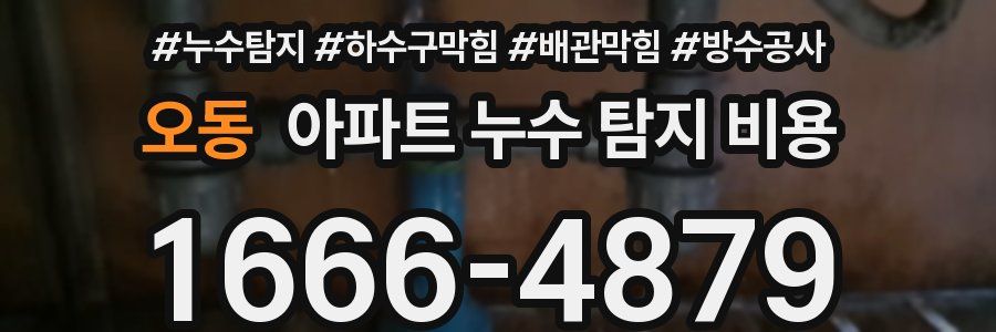 오동 아파트 누수 탐지 비용