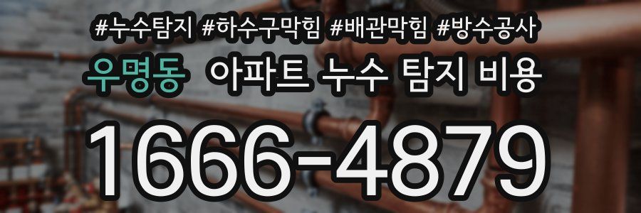 우명동 아파트 누수 탐지 비용